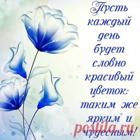 Пусть все тревоги, огорченья
Летят сторонкой, словно птицы.
А счастье станет в настроенье,
Как будто фейерверк, искриться!