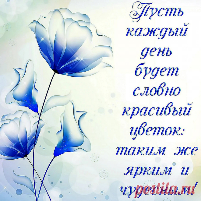 Пусть все тревоги, огорченья
Летят сторонкой, словно птицы.
А счастье станет в настроенье,
Как будто фейерверк, искриться!