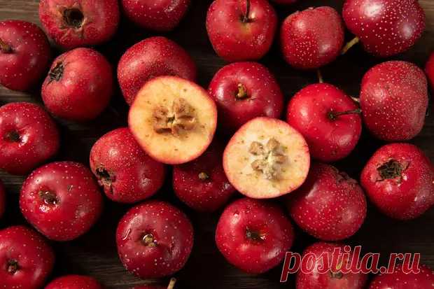 6 полезных свойств боярышника - ПолонСил.ру - социальная сеть здоровья - 18 марта - 43914782315 - Медиаплатформа МирТесен