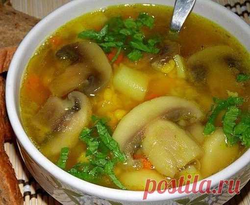 Рецепты 10 самых вкусных супов
Обязательно сохраните эту редкую подборку

1. Ароматный супчик с копчёной курицей и плавленным сырком
копчёный окорочок — 300 гр
Показать полностью…