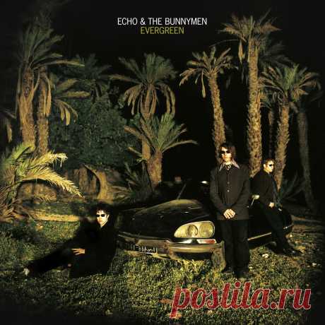 Echo &amp; The Bunnymen - Evergreen (2CD Deluxe Edition) (2022) 320kbps / FLAC