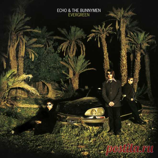 Echo & The Bunnymen - Evergreen (2CD Deluxe Edition) (2022) 320kbps / FLAC
