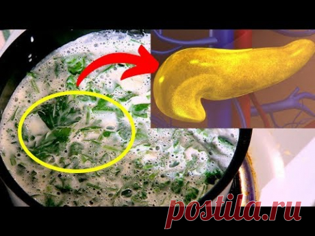 ПОДЖЕЛУДОЧНАЯ Будет Как НОВАЯ ! Эти СРЕДСТВА СПАСУТ Не РАЗ...
