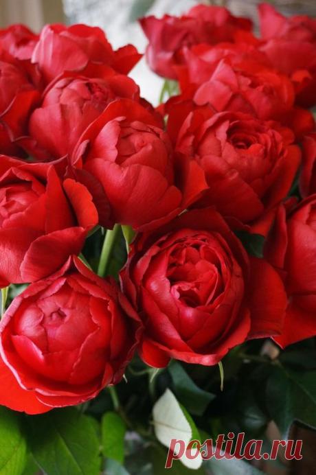 (1) Pinterest