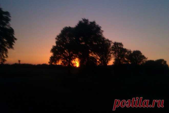 m9rOX14w4ds.jpg (1280×853)