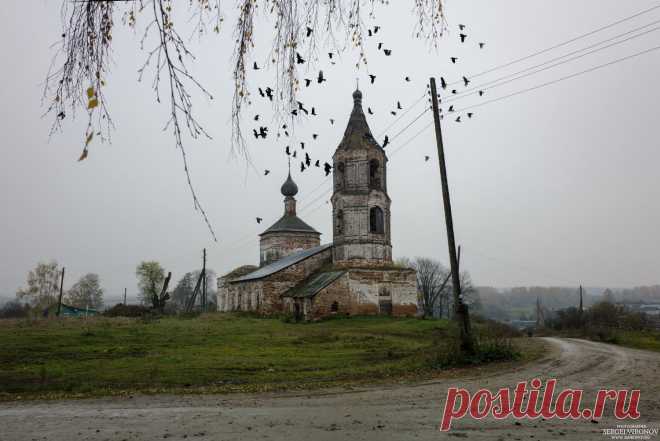 Яндекс.Фотки