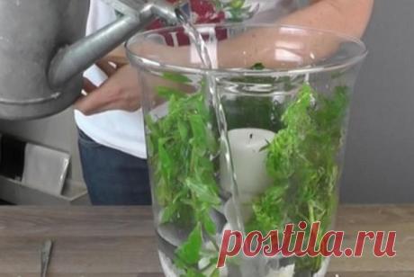 2016-04-24_095916.jpg (598×401)