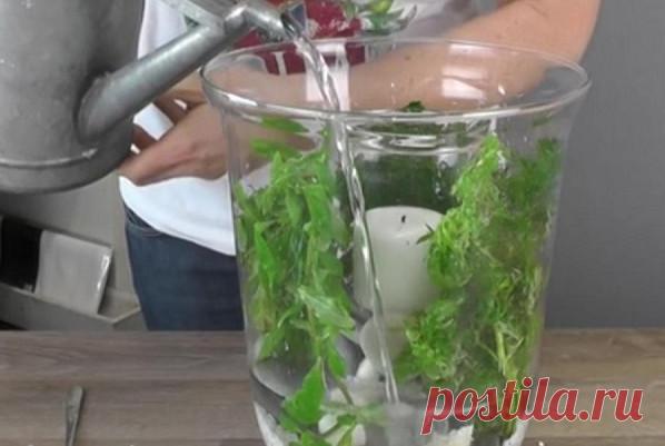 2016-04-24_095916.jpg (598×401)