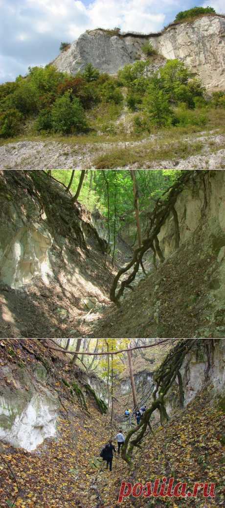 Каньоны Харьковской области: Балаклейский район, село Чепель