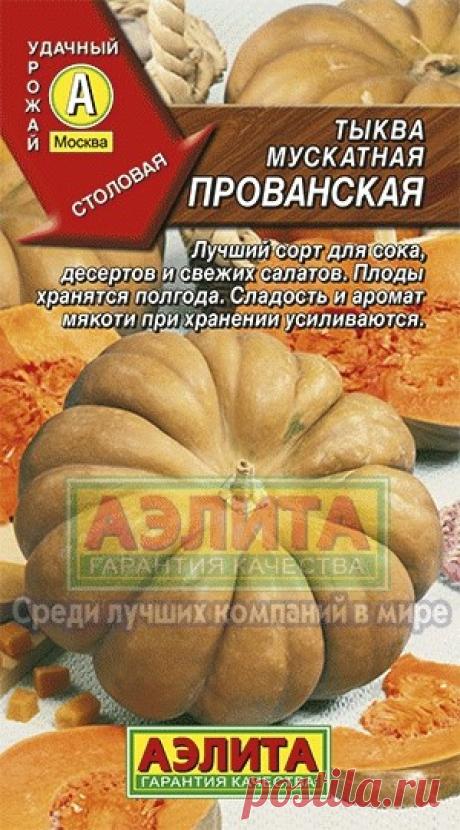 Тыква Прованская мускатная  (1 в уп) (ц)