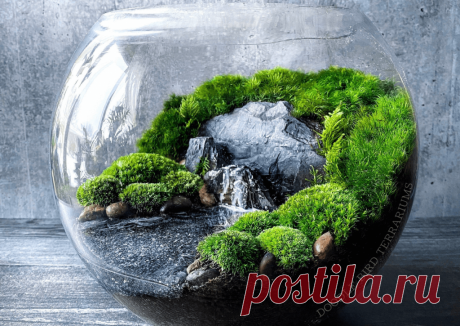 Флорариумы: виды, описание, идеи оформления ~ Planetalsad