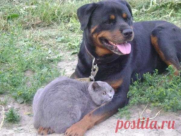 Интересные новости