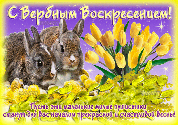 С Вербным воскресеньем! Пусть веточка вербы принесет в ваш дом радость, уют, теплоту и заботу.