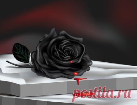 КОГДА МОЖНО И НЕЛЬЗЯ ХОДИТЬ НА КЛАДБИЩЕ
Когда можно ходить на кладбище:
*в день похорон;
*на 3-й, 9-й и 40-й день после смерти;
*каждый год в день ухода человека из жизни;
*в поминальные дни – понедельник и вторник той недели, которая идет за Пасхальной;
*Мясопустная суббота, предшествующая за неделю Великому посту;
*2-я, 3-я и 4-я субботы Великого поста;
*Троицкая суббота – день перед праздником Святой Троицы;
*Дмитровская суббота – первая суббота ноября.
Когда нельзя ходить на кладбище:
*пра