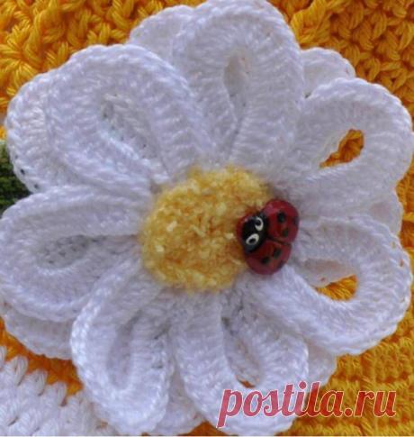 Ifotki.info - бесплатный хостинг фотографий для форумов, дневников, гостевых книг