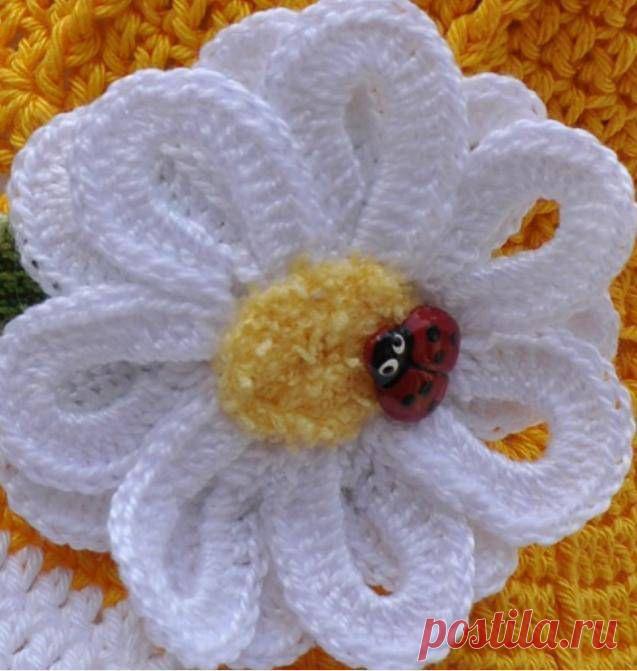 Ifotki.info - бесплатный хостинг фотографий для форумов, дневников, гостевых книг