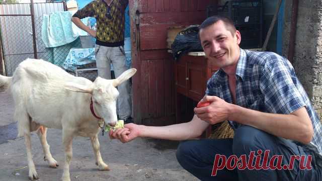 Иван Тицов
33 года, Россия, Москва