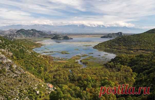 Momir Matkovic - Momir Matkovics Fotos | Facebook