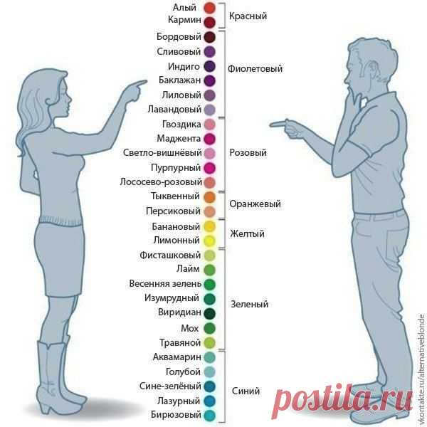 Как различают цвета мужчины и женщины.