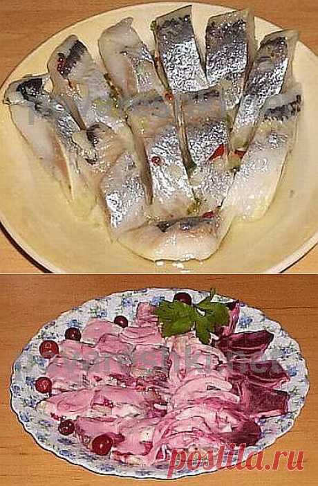ШЕСТЬ МАРИНАДОВ ДЛЯ СЕЛЕДКИ.