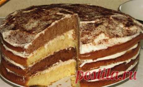 Шикарный сметанник