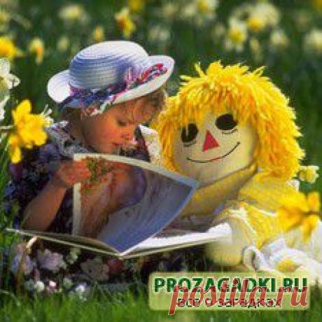 Загадки - скачать загадки - детские загадки - загадки с ответами - Prozagadki.ru