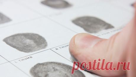 В аэропортах Москвы начнут брать отпечатки пальцев у мигрантов. МВД РФ в ближайшее время начнет проводить дактилоскопию прибывающих мигрантов в московских аэропортах. Об этом сообщила начальник главного управления МВД по вопросам миграции Валентина Казакова, передает ТАСС. &quot; с учетом предложений ...