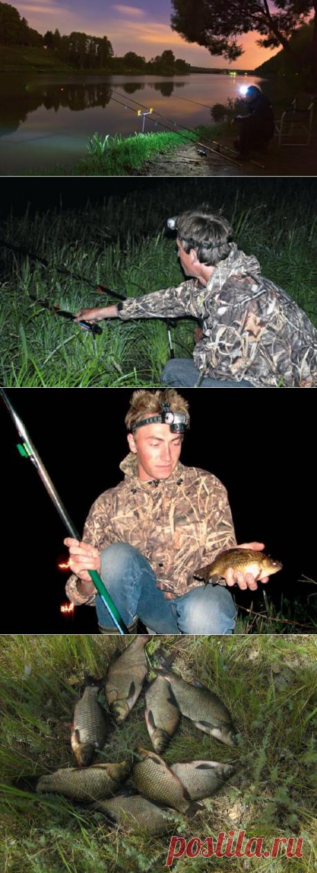 Летняя ночная рыбалка на карася