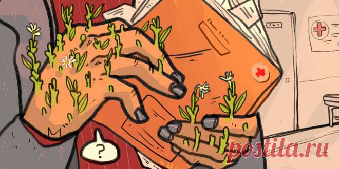 Поликлиника приписывает вам болезни. Вот как это обнаружить и исправить - Лайфхакер