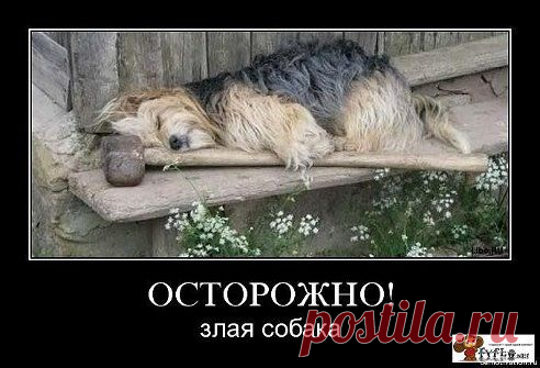 Надпись на калитке: ,, Звонок не работает" ....Дразните собаку!!!