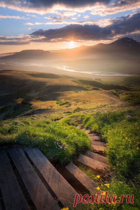 i (540×810)