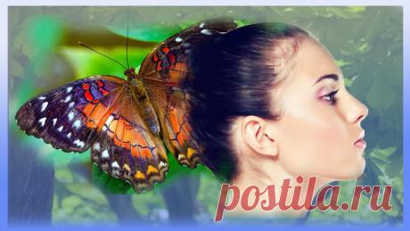 Трансформация – что за ней стоит, 5 фаз и роковая роль отношений | Ольга Зимихина | Яндекс Дзен