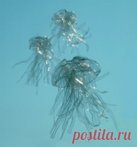Что сделать из пластиковых бутылок / Я - суперпупер