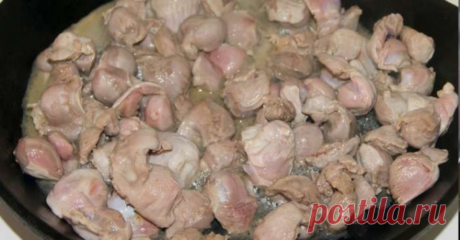 Польза куриных желудков — СОВЕТНИК