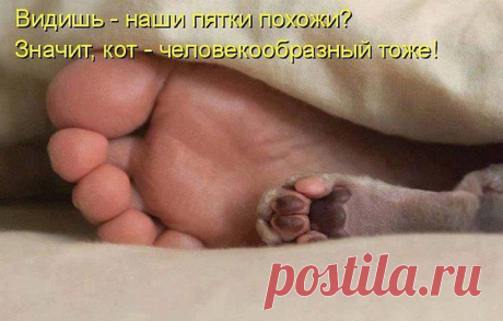 Это невероятно! Познавательный журнал