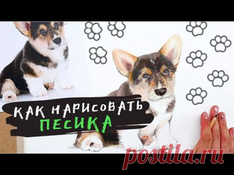 Как нарисовать собаку — kalachevaschool.ru — Поэтапный урок Жени Мельниковой. Смешанная техника