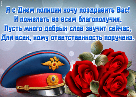 Желаю долгой, яркой службы,
Удачным был чтоб каждый час,
Быть на работе самым нужным,
С Днем полиции Вас!