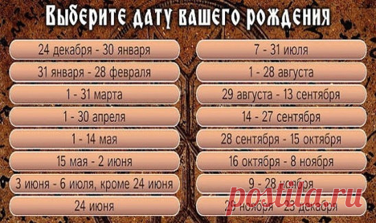 Выберите и смотрите ниже!