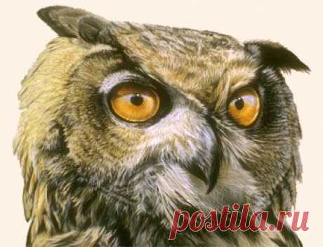 Гуманизм без справедливости не менее опасен, чем злой преступный умысел. О том, к чему приводит заступничество за преступников и спасение их от заслуженного наказания, расскажет вам эта поучительная басня в стихах.