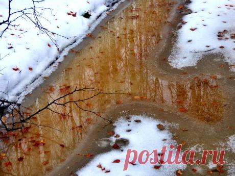 ФОТОМАСТЕРСКАЯ ПРИРОДЫ
Геннадий Ячменев