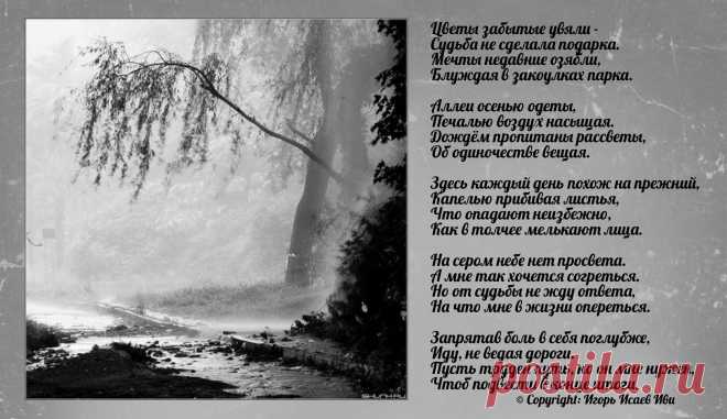 Моя ретро-открытка "Аллеи судьбы"