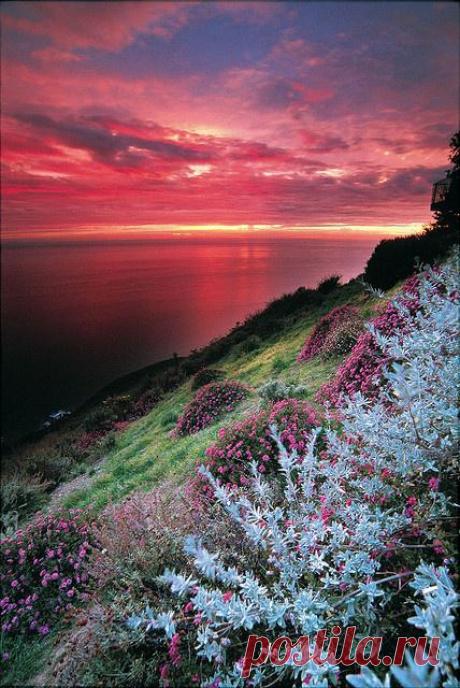 Природа - это бесконечный источник вдохновения и внутренней красоты. 
Сколько бы мы не любовались таким ежедневным явлением, как закат -
все равно продолжаем удивляться неповторимости красок.