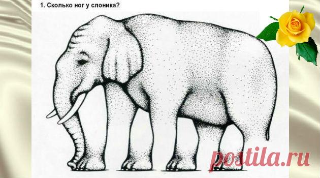 Оптические иллюзии — 10 самых крутых вариантов — Калейдоскоп чудес