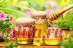 Продукты, у которых никогда не истекает срок годности