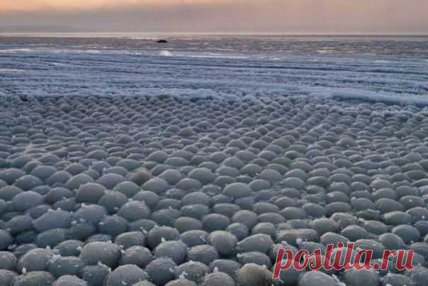 Удивительный феномен: льдины в форме шаров на берегу Финского залива / Социальная погода