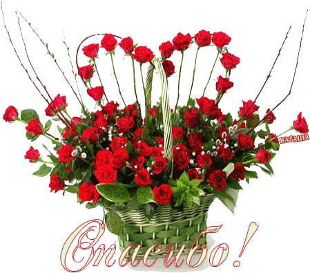ПОЛЕЗНЫЕ СОВЕТЫ ДЛЯ ХОЗЯЮШЕК! - 