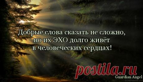 Доброта – вещь удивительная. Она сближает, как ничто другое, она – тот язык, на котором с вами всякий захочет разговаривать, на котором мы только и можем понять друг друга… Доброта избавляет нас от одиночества, душевных ран и непрошенных обид. Мы больше получим, чем отдадим, если будем чаще вспоминать про то, что нас соединяет, про то, что человек становится Человеком только благодаря другому человеку… Виктор Розов, драматург.