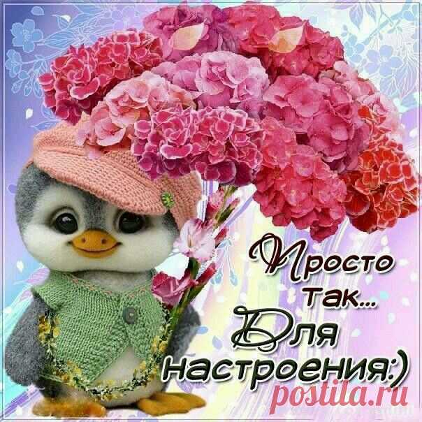 Всем привет!!! Соскучились по мне друзья?😂 Всем желаю хорошего настроения! Как у вас проходит лето ?
