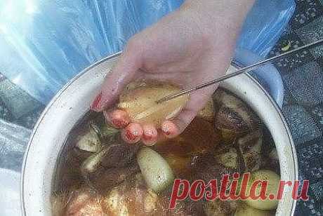 Шашлыки. Армянский маринад,баранина, мясо, свинина, шашлык.
