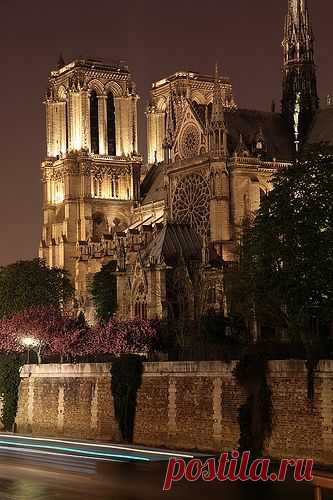 Paris Notre Dame